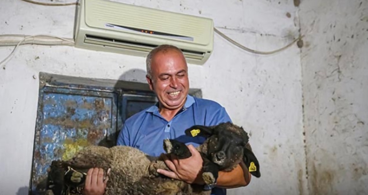 Yasal Mesleği Terk Edip Hayvancılığa Yöneldi: Ahırda Yenilikler