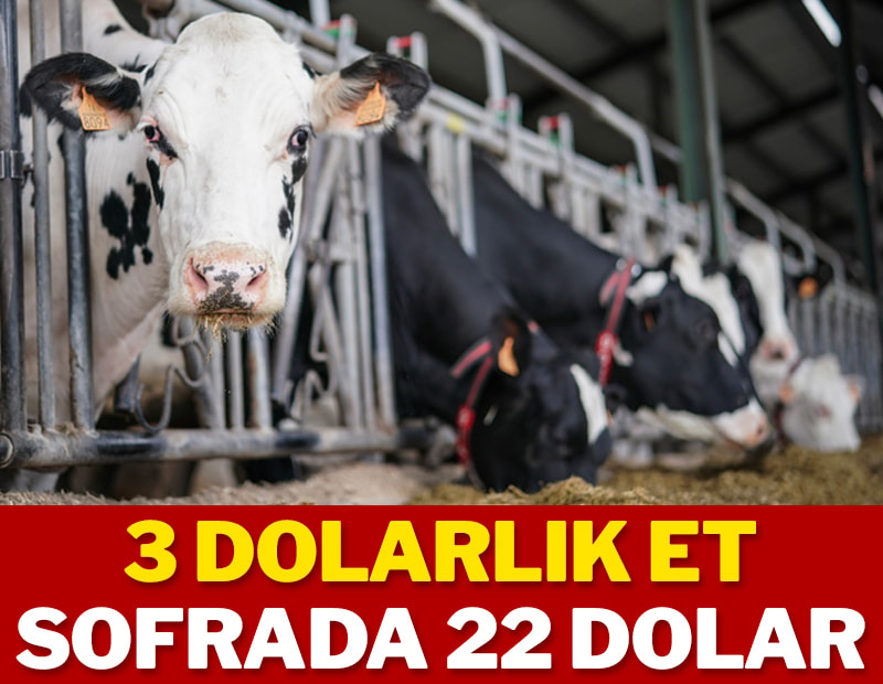 3 dolarlık et sofrada 22 dolar