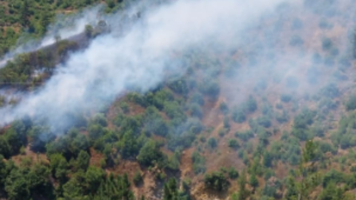 Adana'da orman yangını! Müdahale başlatıldı