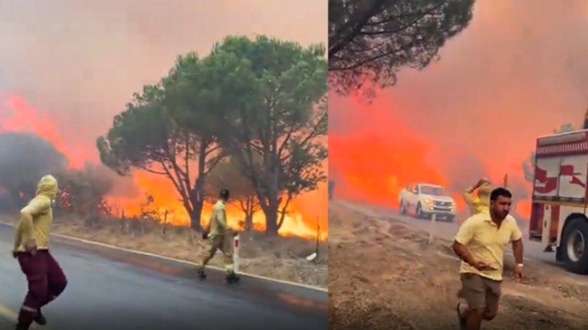 Gömeç yangının arkasındaki gerçek ortaya çıktı! 2 kişi tutuklandı