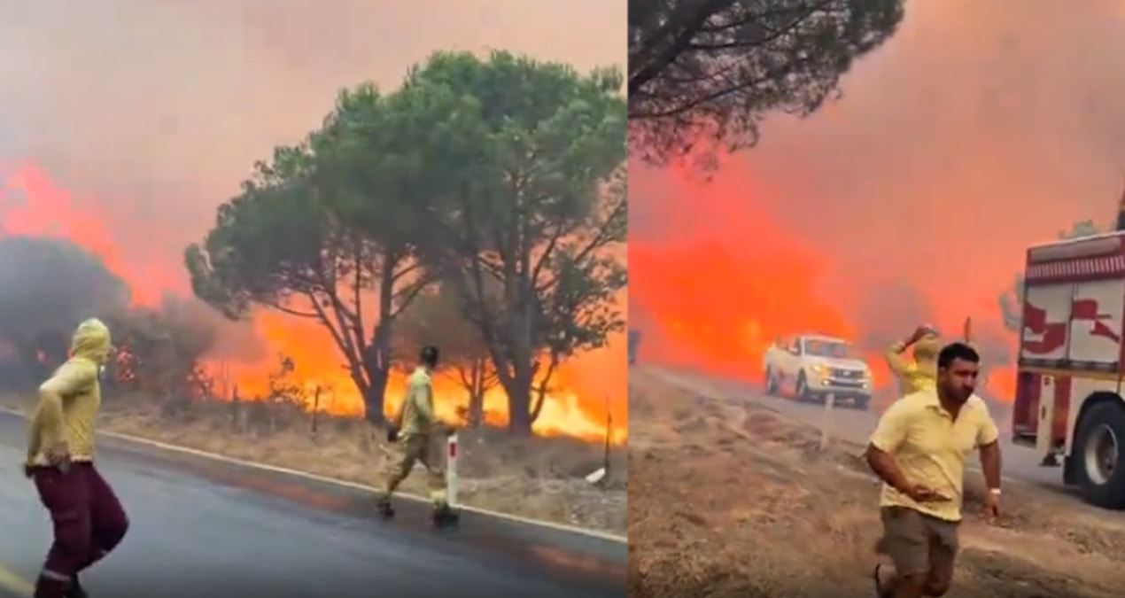 Gömeç yangının arkasındaki gerçek ortaya çıktı! 2 kişi tutuklandı