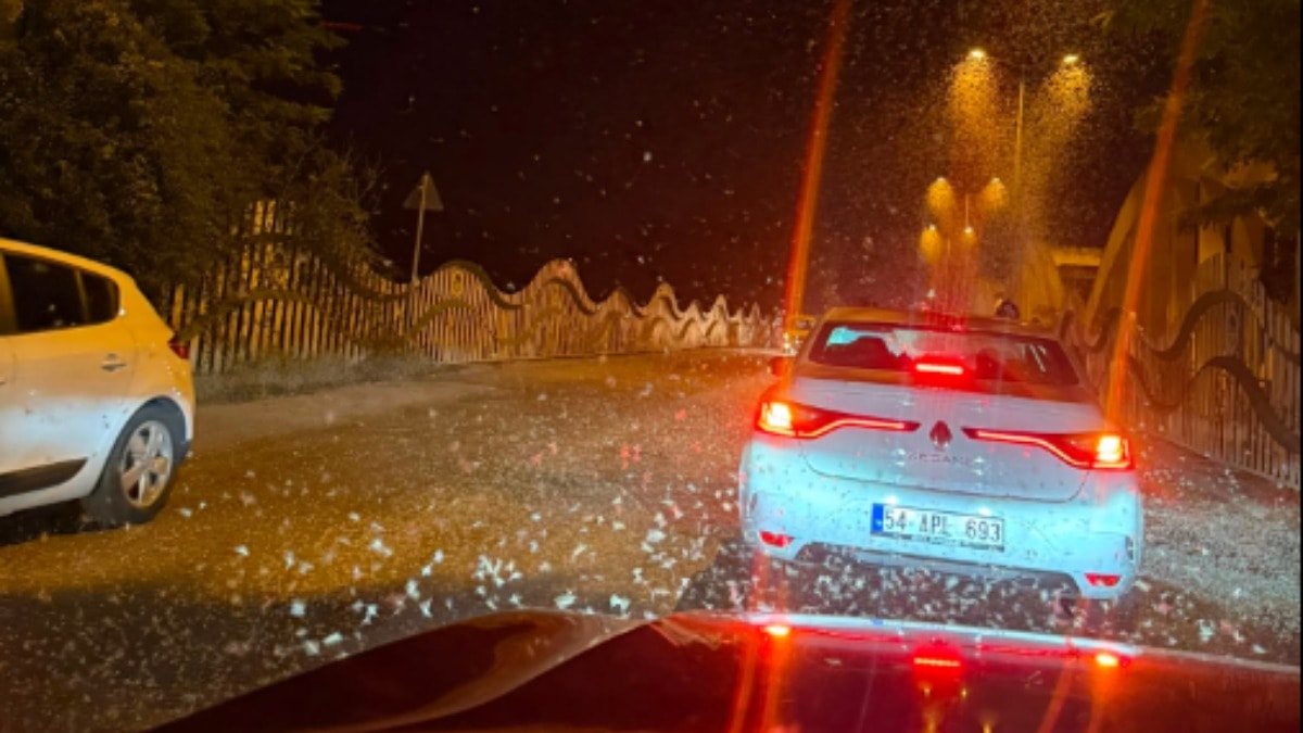 Yoldan geçen sürücüler gözlerine inanamadı! Köprü bir anda milyonlarca kelebekle kaplandı