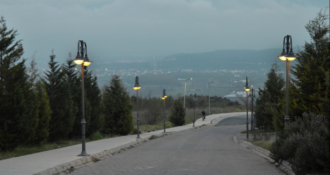 Trafoya 12 milyarlık kedi girecek