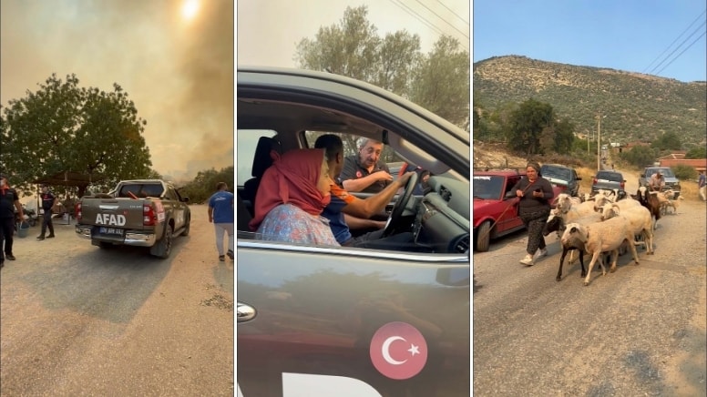 Aydın'da zeytinlikte yangın; iki mahalle tahliye edildi