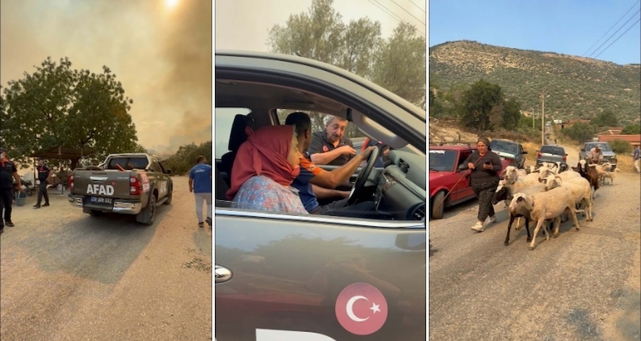 Aydın'da zeytinlik ve otluk alanda yangın; iki mahalle tahliye edildi