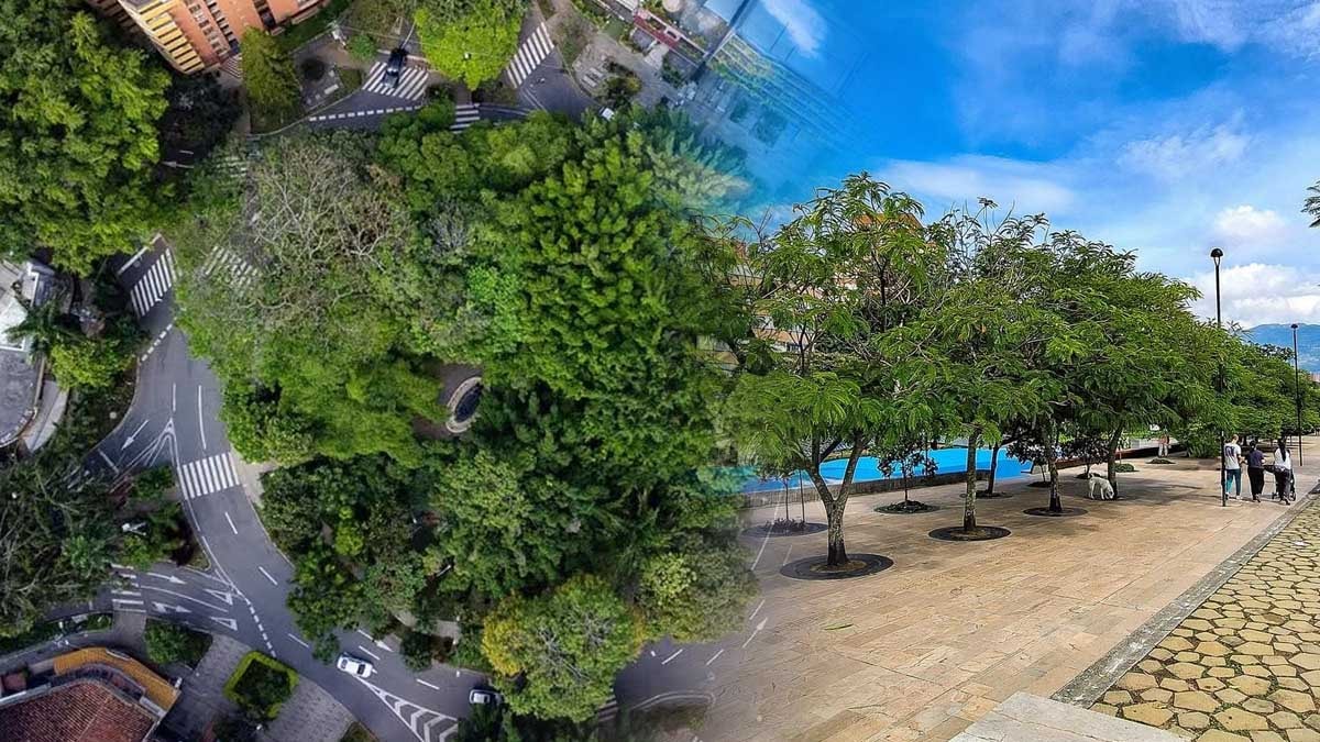 Herkes şapka çıkarıyor: Klimasız şehir soğutmanın yolunu buldular