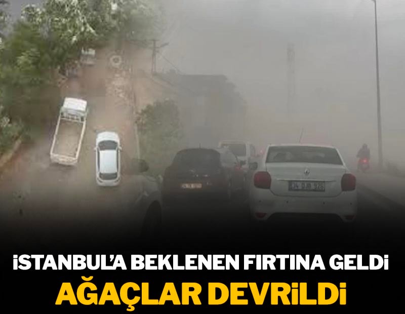 İstanbul'a beklenen fırtına geldi...  Ağaçlar devrildi