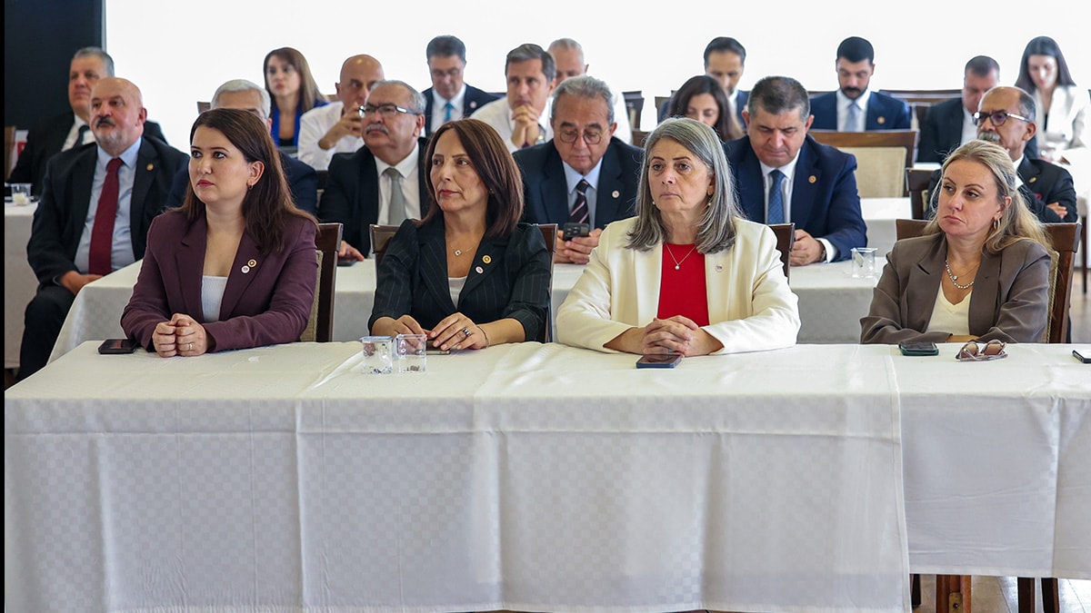 Yandaş yazar iki tarih verdi: 'Yeni Parti'ye 10 vekil daha katılacak'