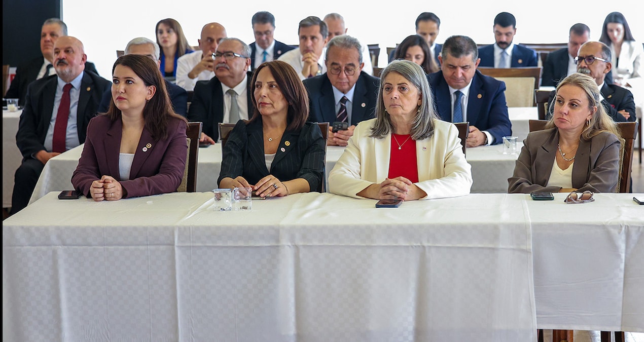 Yandaş yazar iki tarih verdi: 'Yeni Parti'ye 10 vekil daha katılacak'