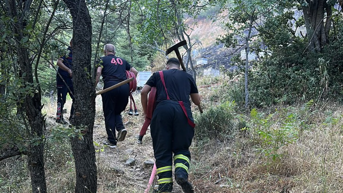 Yangını söndürmeye giden ekip arıların hedefi oldu