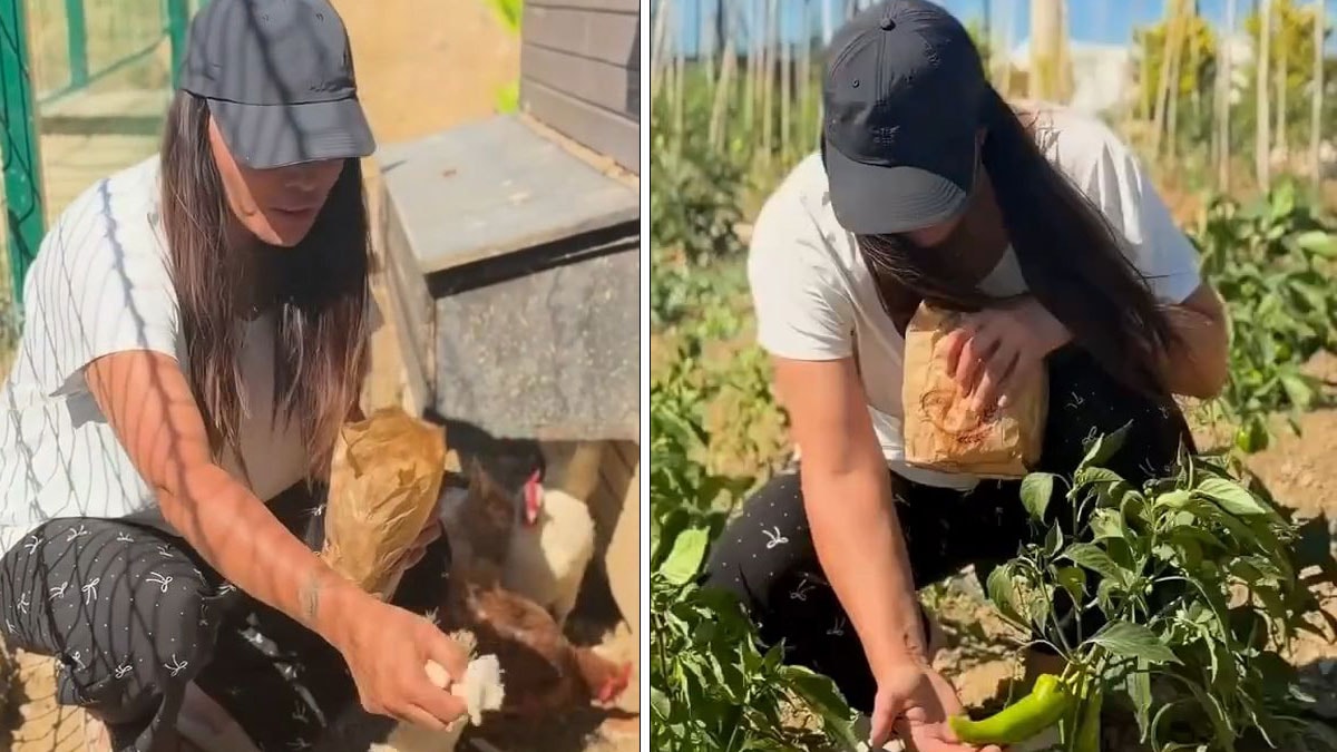 Göz alıcı hayat bitti, doğal yaşam başladı: Artık dalından biber topluyor