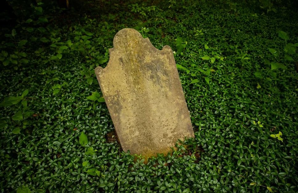 Bahçelerinde öyle bir şey buldular ki yetkililer anında eve geldi