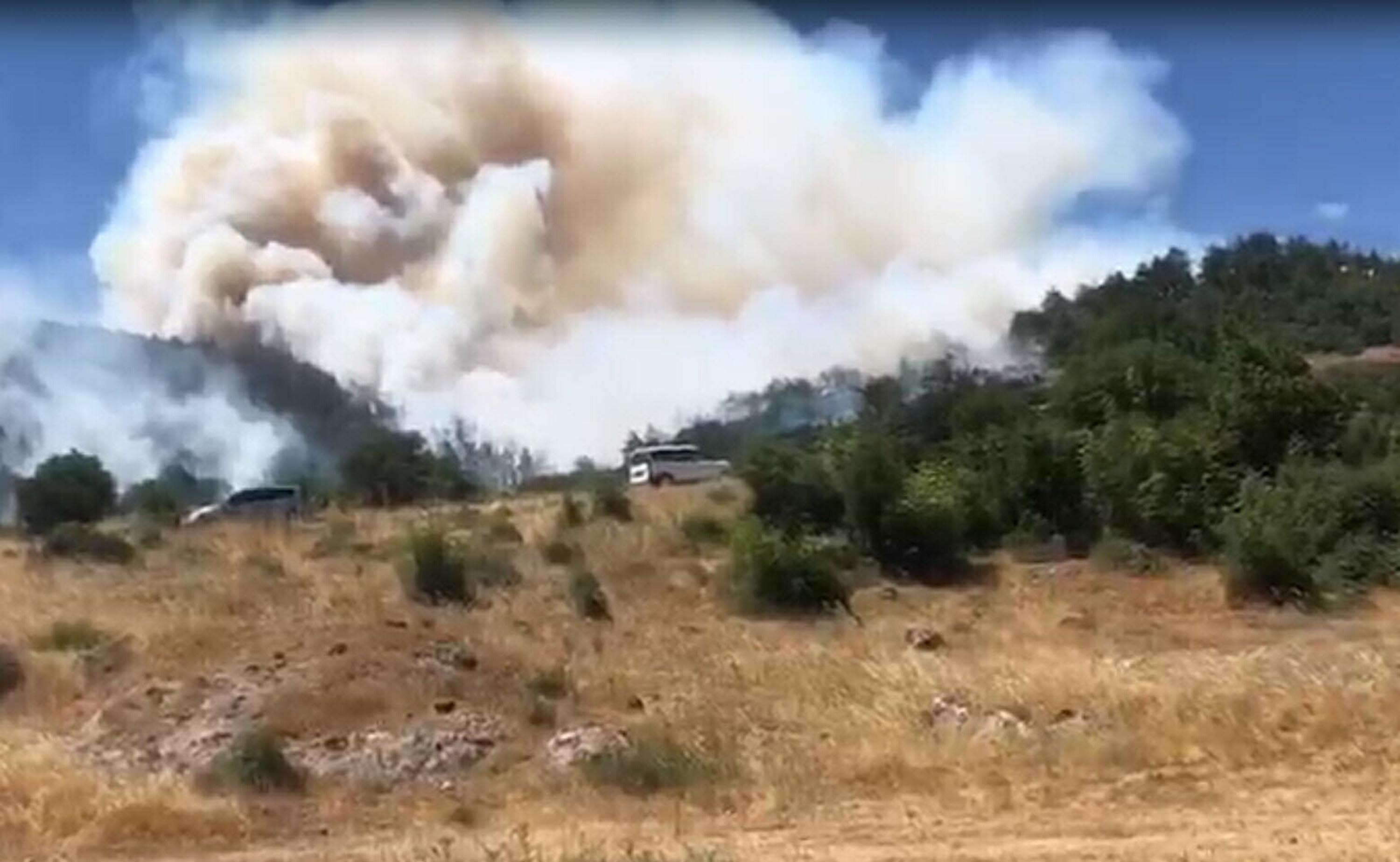 Balıkesir'de orman yangını! Müdahale sürüyor