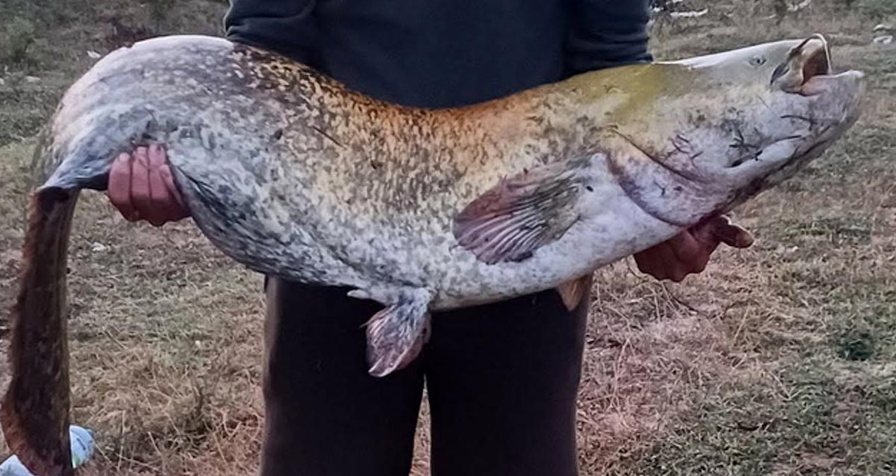 Kimi amatör şansı diyor kimi ise yatkınlık... 'Vira Bismillah' der demez 35 kilo yakaladı