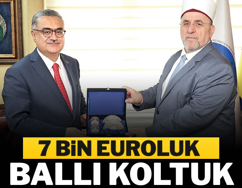 7 bin Euroluk ballı koltuk