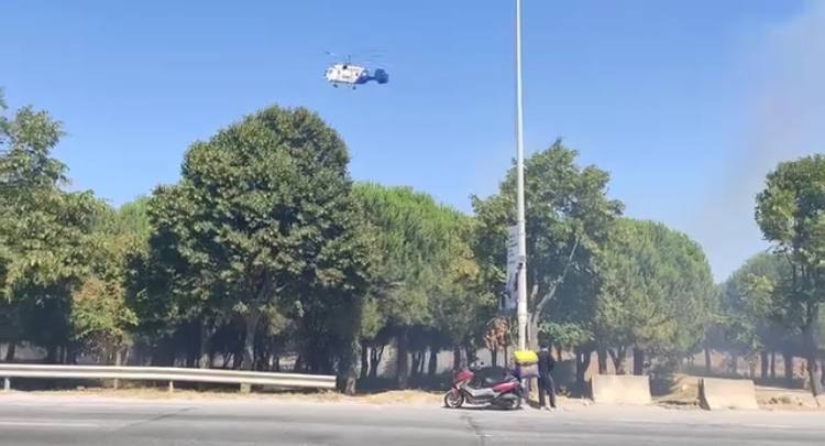 Başakşehir'de torpil yangını! Ağaçlık alan alevlere teslim oldu