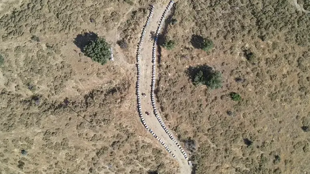 Beklenen gün geldi: Şifa deposu ürün için hasat zamanı
