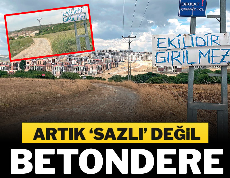 Konteyner yasak rant serbest
