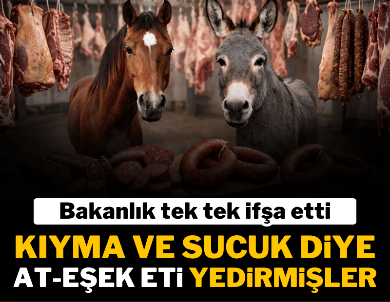 Bakanlık ifşa etti: Sucuk ile kıymada 'at ve eşek' eti çıktı