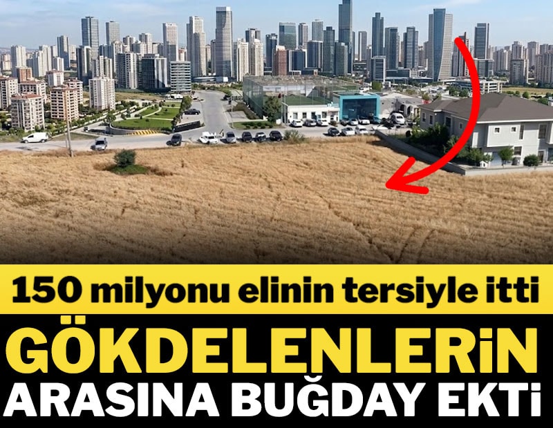 150 milyonu elinin tersiyle itti: 39 bin lira için buğday ekiyor