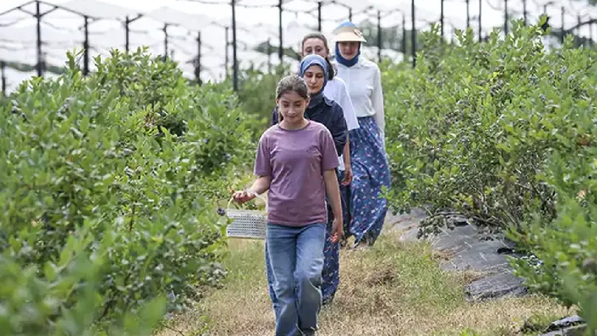 850 metrede başladılar, dünyaya açıldılar: İngiltere'den talep yağıyor
