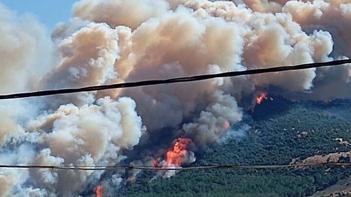 Çanakkale'de orman yangını! Ekipler teyakkuza geçti