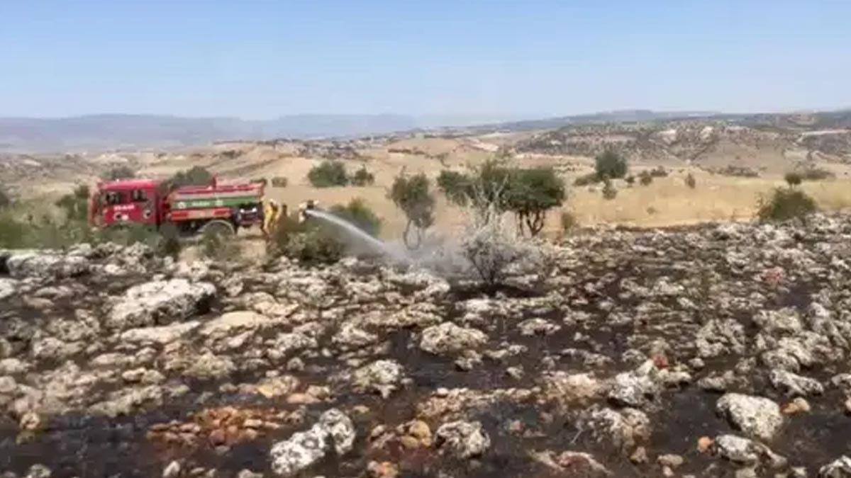 Diyarbakır'da 270 dönümlük alan küle döndü