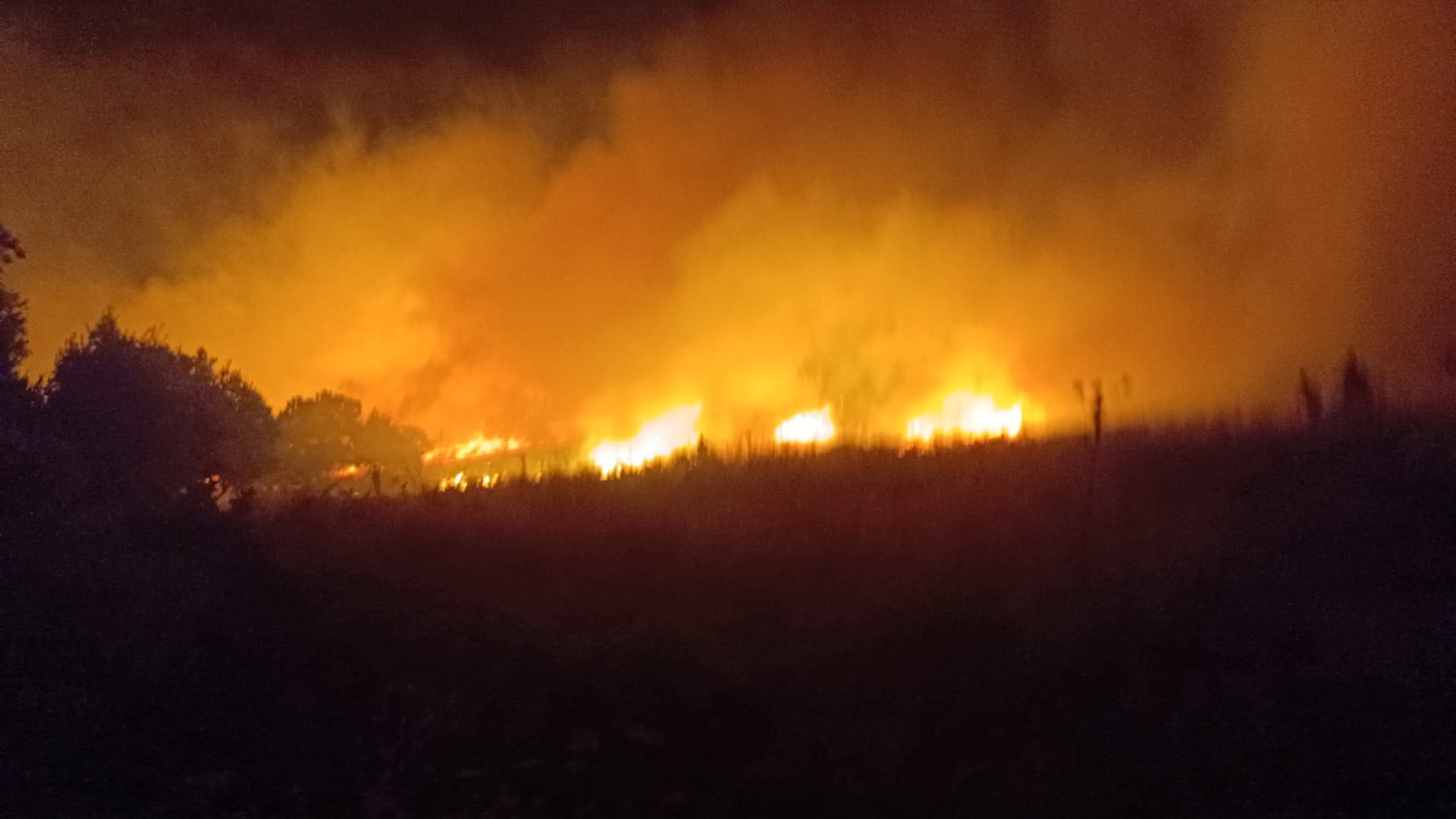 Diyarbakır'da örtü yangını; ekiplerin müdahalesi sürüyor