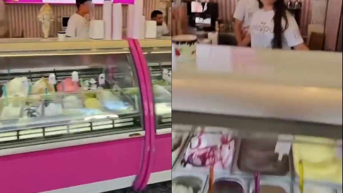 Bakanlık bir top dondurma fiyatı için işlem başlattı