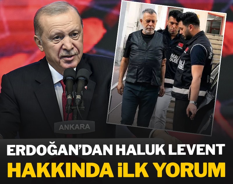 Erdoğan'dan Haluk Levent hakkında ilk yorum