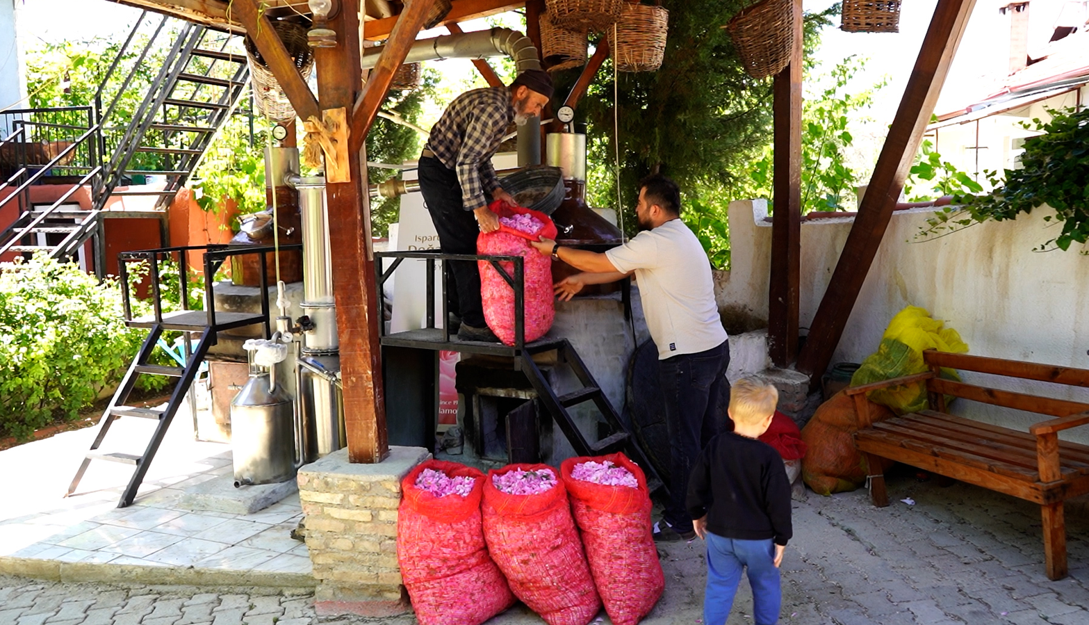 50 kilo üründen 2 saatte çıkan mucize: Almanlar kapış kapış alıyor!