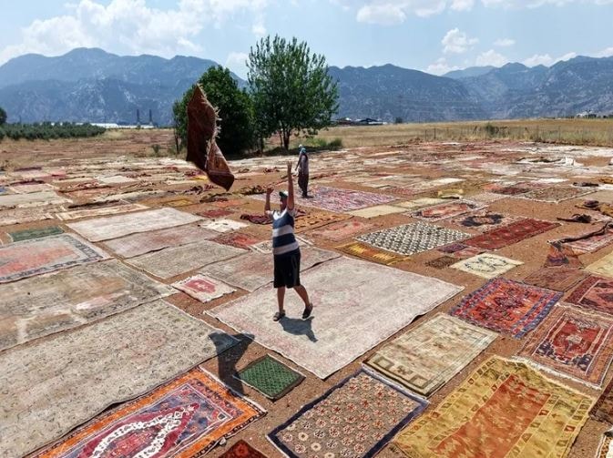 Antalya'da tarlalara boy boy serip bekletiyorlar: Tanesi 5 bin dolara satılacak