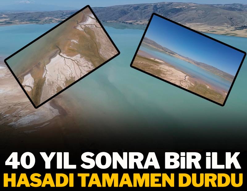 40 yıl sonra ilk kez oldu: Hasadı tamamen durdu