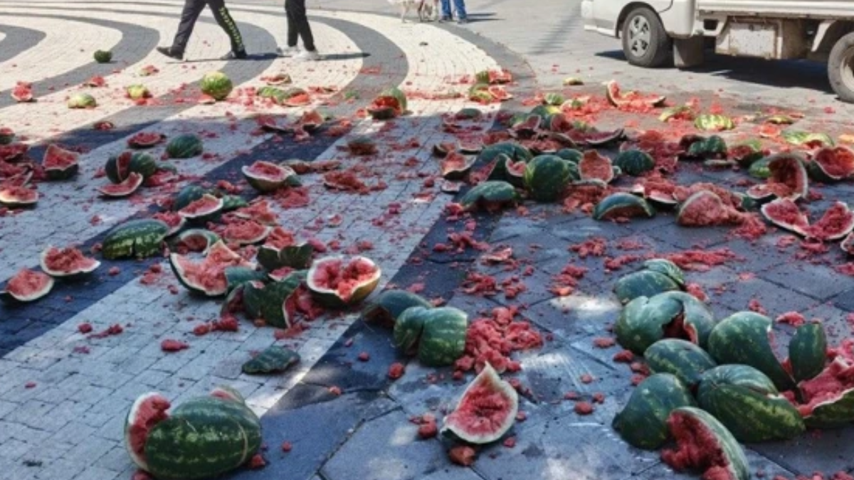Sinirlendi tüm karpuzları caddenin ortasına fırlattı