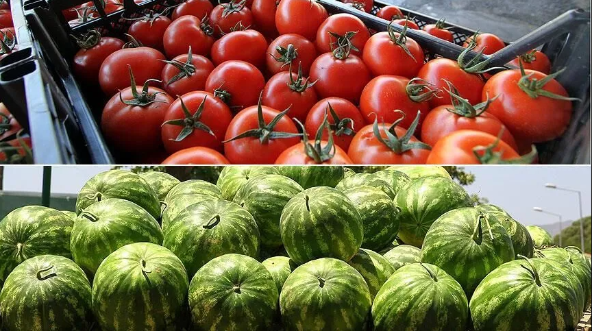 İstanbul'da haziranda en çok karpuz ve domates tüketildi
