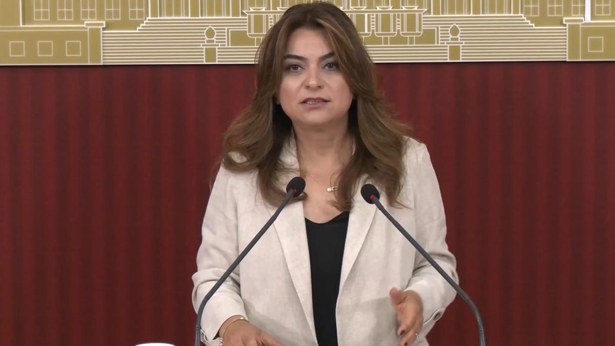DEM Parti duyurdu: Meclis kapanmadan yasalaşacak
