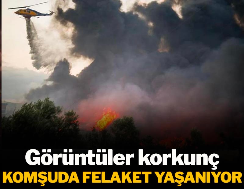 Komşuda orman yangınları korkunç boyuta geliyor