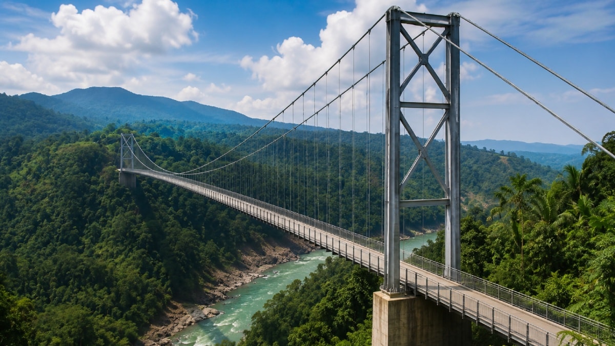 Ulaşımda yeni bir dönem başlatacaklar: 5 bin yeni köprü inşa etme kararı aldılar