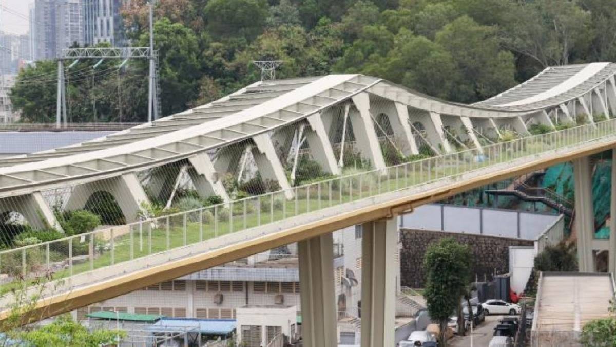 Rahat çitleşmeleri için özel köprü yapıldı