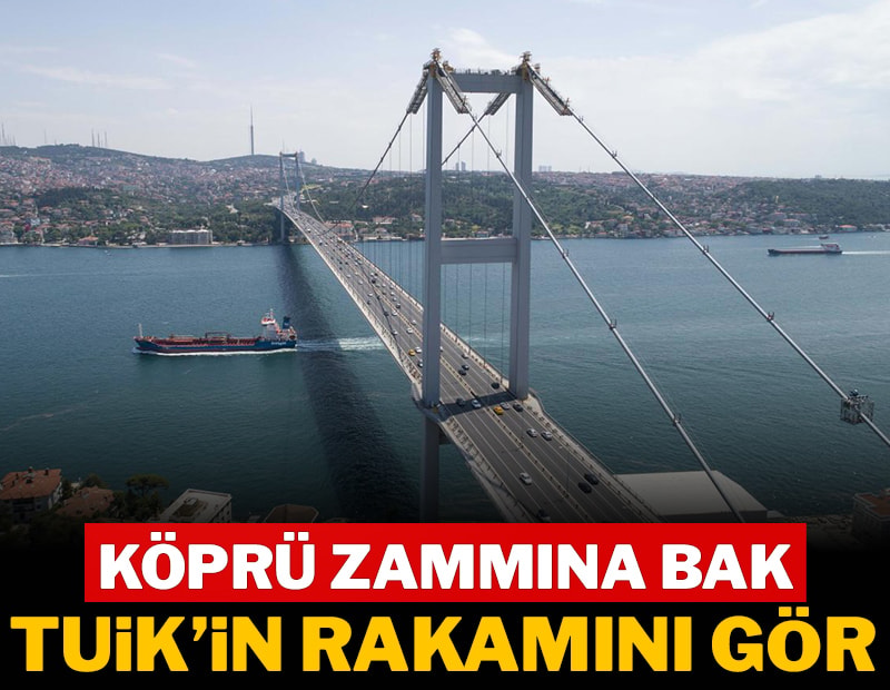 Köprüye bak, TÜİK'i gör!