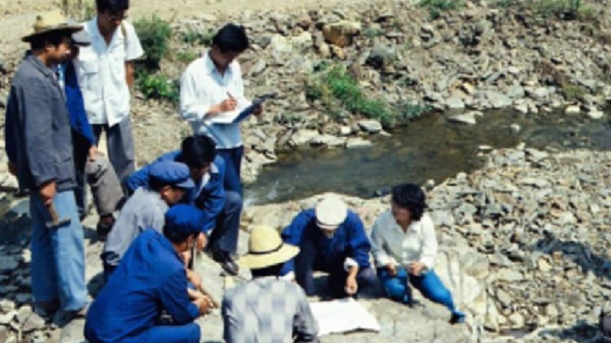Köyü delik deşik edip torba torba altın buldular
