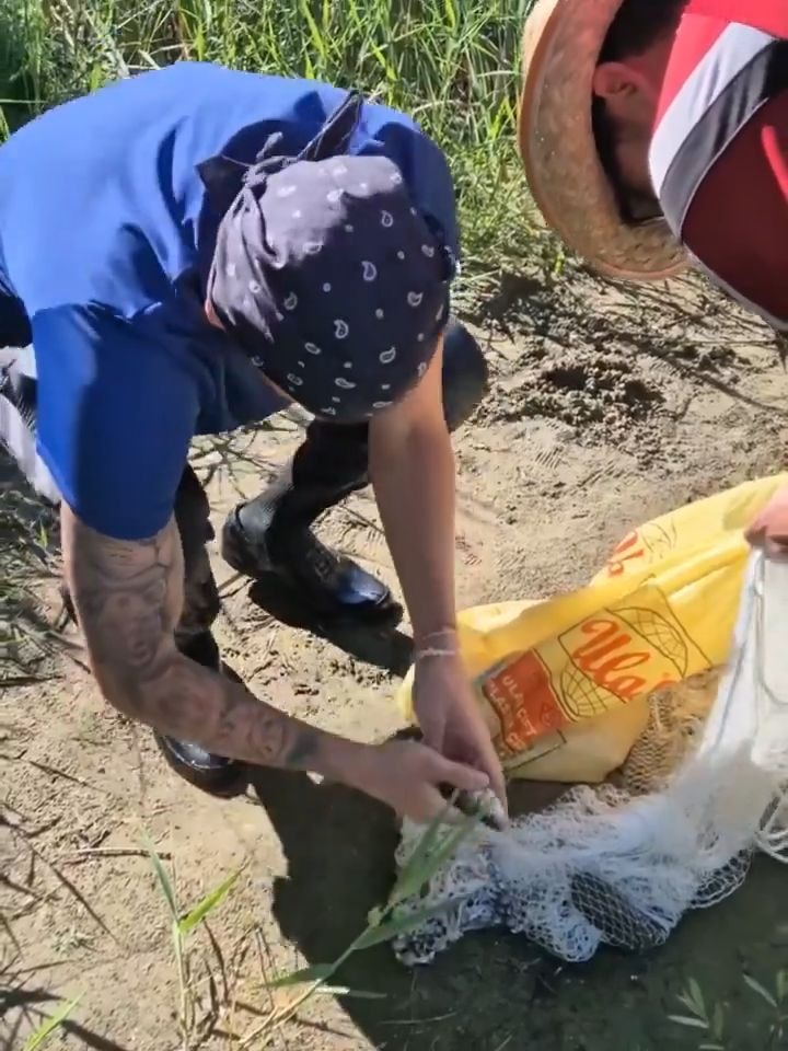 DERE KENARINDA BALIK TUTTU