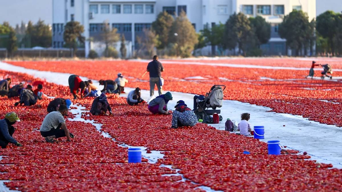 Türkiye'nin lezzeti dünyayı fethetti: 91 ülkeye kapış kapış satılıyor