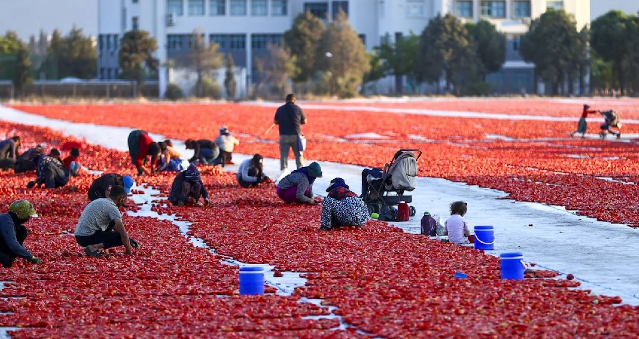 Türkiye'nin lezzeti dünyayı fethetti: 91 ülkeye kapış kapış satılıyor