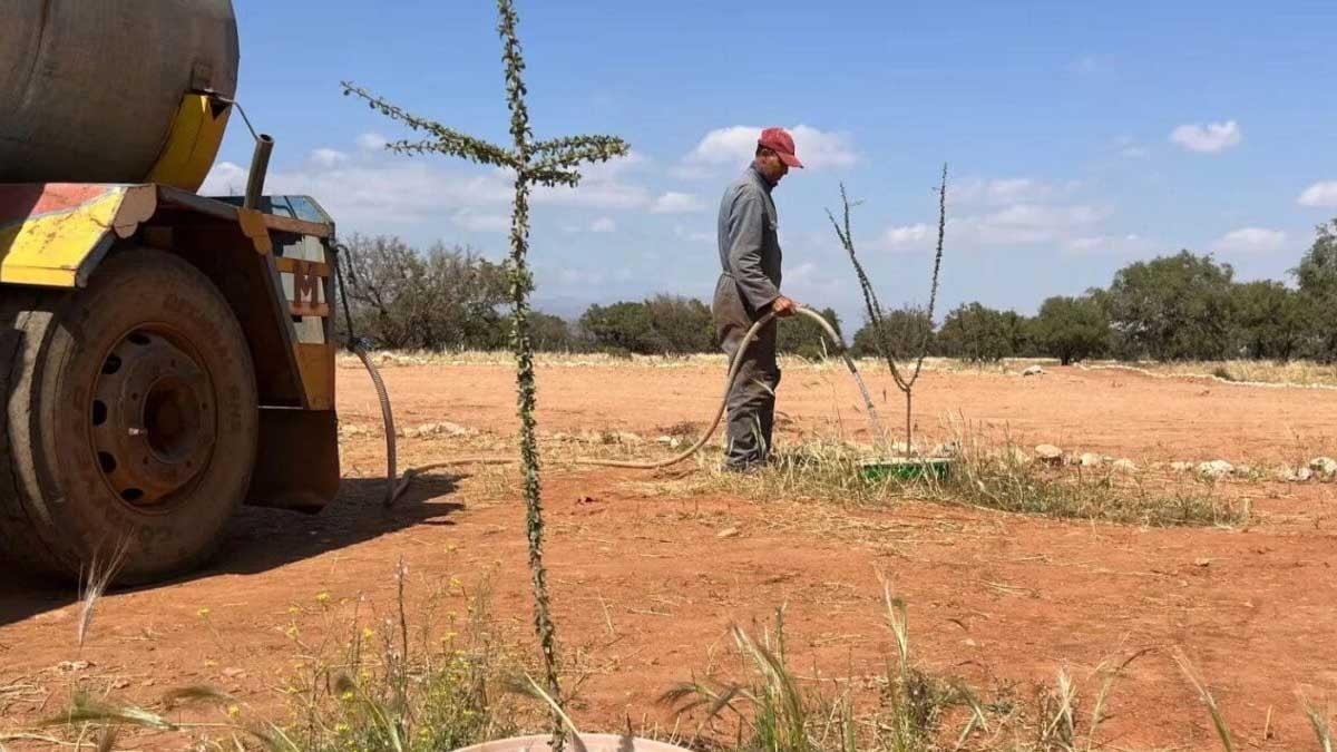 Bu kutu 1200 hektarlık çölü ormana dönüştürdü