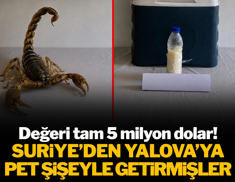 Suriye'den Yalova'ya plastik şişeyle getirmişler: Değeri tam 5 milyon dolar