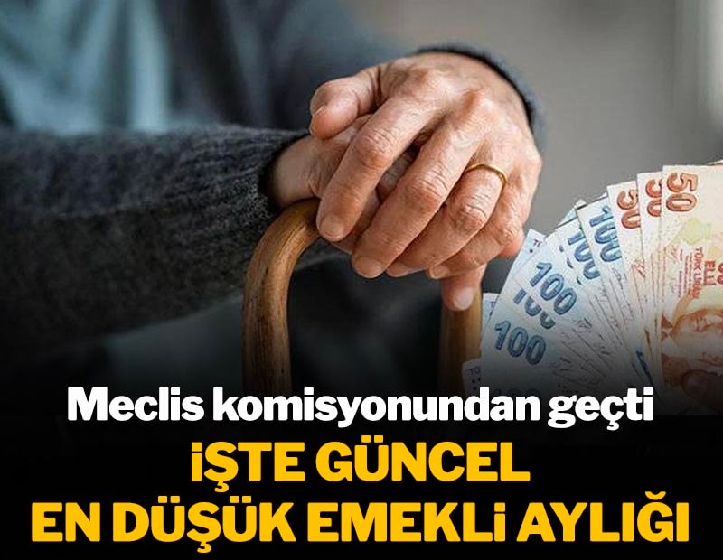 Mecliste kabul edildi: İşte güncel en düşük emekli aylığı