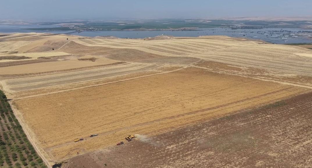 Kupkuru arazide yetiştirip kilosu 45 TL'ye satıyorlar: O şehrimizde rekor artış yaşandı