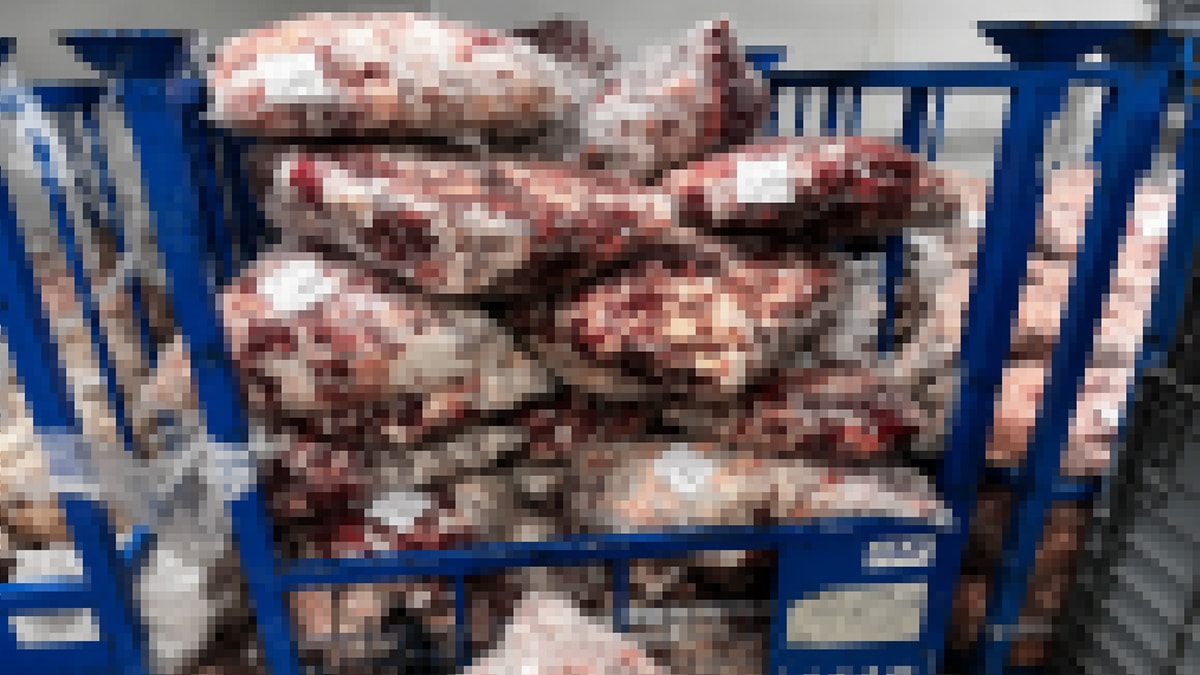 Görüntüler mide bulandırdı! Yakalanmasalar halka yedireceklerdi