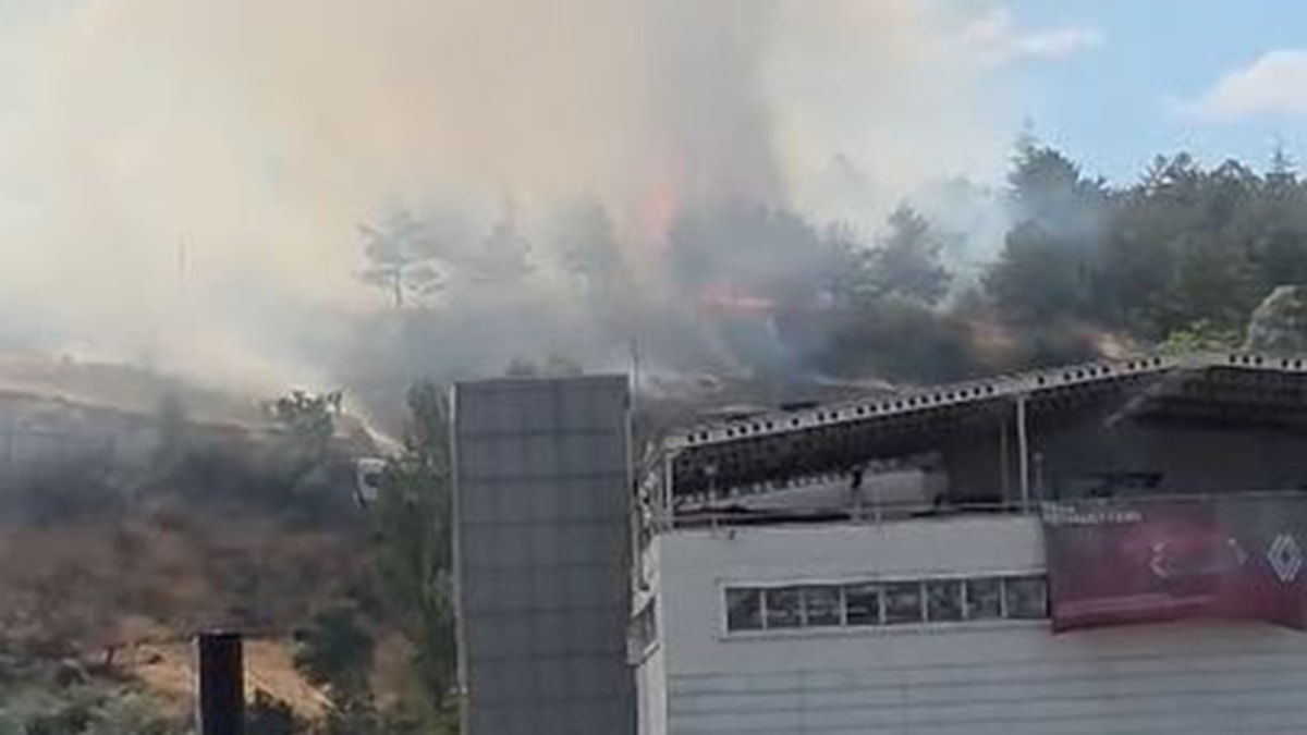 ODTÜ Ormanı'nda yangın